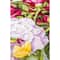 Luca-S Bouquet with Peonies Counted Cross Stitch Kit